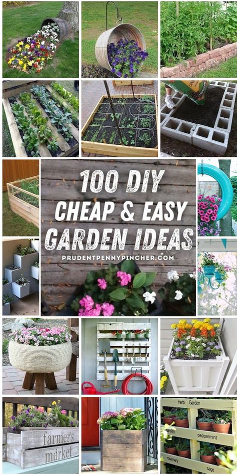 Easy Diy Garden Ideas, Small Front Garden Ideas, Easy Garden Ideas, Diy Garden Decor Projects, Diy Garden Ideas, Container Gardening Ideas, Small Front Gardens, Tattoo Plant, Budget Garden