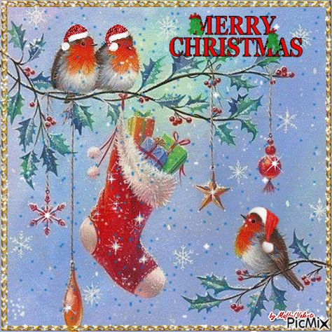 Merry Christmas Gif Quotes, Christmas Animated, Images Beautiful, Gif Animated, Gif Images, Fabulous Christmas, Christmas Bird, Animated Christmas, Christmas Gif