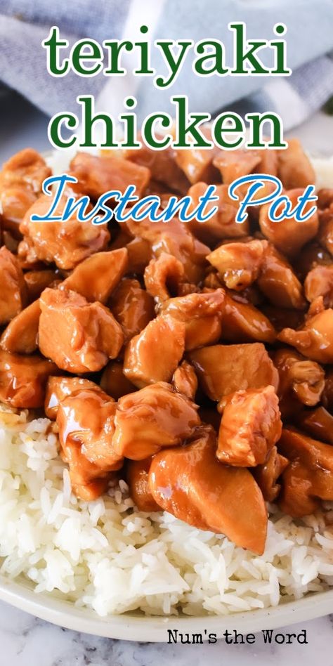 Instant Pot Teriyaki Chicken, Healthy Teriyaki Chicken, Teriyaki Chicken Breast, Teriyaki Chicken Bowl, Pollo Teriyaki, Teriyaki Chicken And Rice, Easy Teriyaki Chicken, Teriyaki Recipe, Chicken Teriyaki Recipe