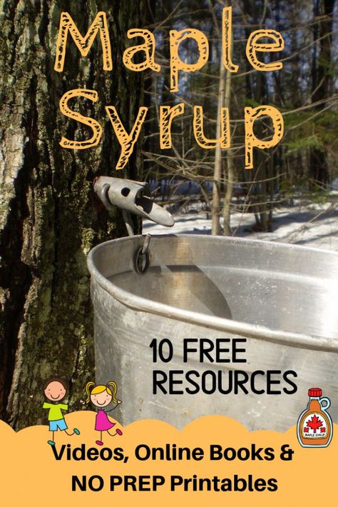 Maple Syrup: 10 FREE Resources Exploring Maple Syrup for Kids - STEMHAX #maplesyrup #kids #farmersmarket #ipancake #pig #frenchtoast #TpT #homeschool #poetry #printables #freebie Maple Sugaring Activities, Jelly Bean Science Experiment, Maple Tapping, Tapping Maple Trees, Sugar Bush, Tree Study, Sugar Shack, Maple Trees, Online Books