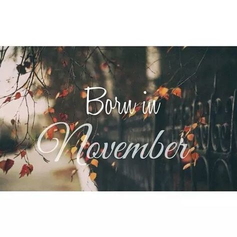 Born In November november hello november november quotes November Birthday Quotes, 19 Birthday Quotes, Hallo November, November Hello, November Pictures, Birthday Month Quotes, Birth Month Quotes, November Born, Neuer Monat