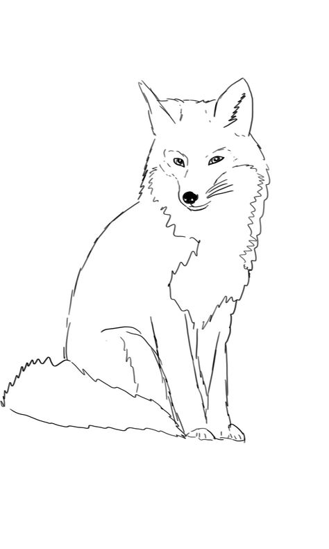 Fox Tattoo Outline, Fox Outline, Animal Outline, Animal Templates, Fox Tattoo, Tattoo Outline, Fox, Moose Art, Humanoid Sketch