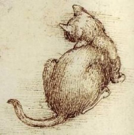 Leonardo da Vinci - Detail from Cats in motion, c.1513-16 - Pen and ink with wash over black chalk - Windsor, Royal Library 12363 Grant Wood, Great Cat, Pierre Auguste Renoir, Arte Animal, Caravaggio, Cat Drawing, Famous Artists, A Drawing, Cat Art