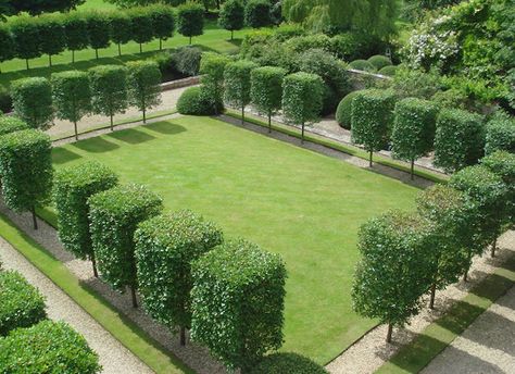 Landscapes & Gardens Designs by Anouska Hempel - thefrench ... Pleached Trees, Anouska Hempel, Square Tree, Formal Garden Design, Vegetable Garden Planning, Minimalist Garden, Modern Landscape Design, Formal Gardens, Diy Planters