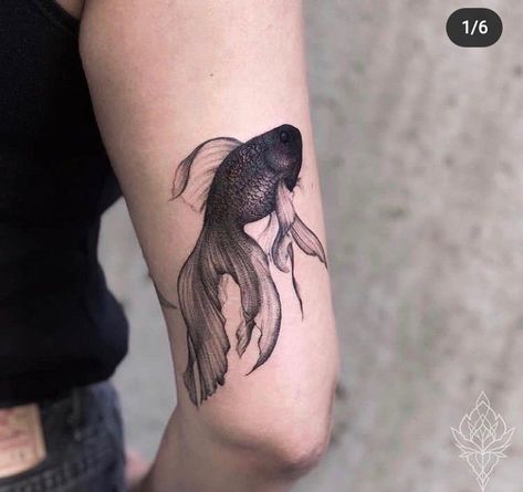 Birthdate Tattoo, Goldfish Tattoo, Glyph Tattoo, Pisces Tattoos, Koi Tattoo, Fish Tattoo, Mermaid Tattoo, Mermaid Tattoos, Wrist Tattoos For Women