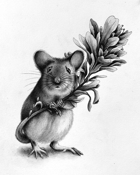 animals and nature drawing Million Tiny Lines, Mouse Tattoos, Rabbit Pictures, Mouse Illustration, Deer Photos, Pencil Drawings Of Animals, Field Mouse, Mouse Drawing, Witch Tattoo