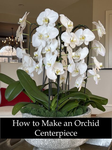 How to Make an Orchid Centerpiece - Happy Haute Home White Orchid Plant Centerpiece, Orchid Plants Decor, Centerpieces With Orchids, Orchids As Centerpieces, How To Plant Orchids In Pots, Orchid Container Ideas, Orchid Planter Ideas Flower Pots, Orchid Arrangements Diy, Artificial Orchid Arrangement