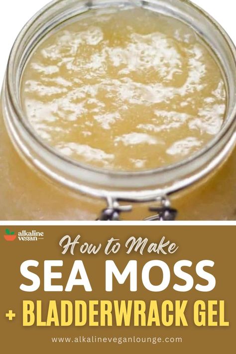 Sea Moss Benefits How To Make Sea Moss Gel, Skin Recipes, Sea Plants, Nutrition Drinks, Sea Moss, Homeopathic Remedies, Skin Food, Healthy Eating Recipes, Food Source