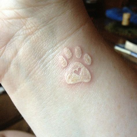 60+ Ideas for White Ink Tattoos | a perfect way to commemorate Mr. Oatches Tatoo Dog, Pet Memorial Tattoo, Pawprint Tattoo, Dog Paw Tattoo, White Ink Tattoo, Paw Tattoo, Memorial Tattoos, White Tattoo, Dog Tattoos