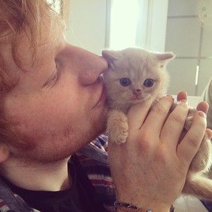 Ed is quite possibly the world’s biggest cat lover. | Ed Sheeran Is The Cat Lover You Should Aspire To Be Ed Sheeran Love, Ginger Boy, Cat People, Pop Rock, Ed Sheeran, Famous Celebrities, Crazy Cat Lady, Big Cats, Crazy Cats