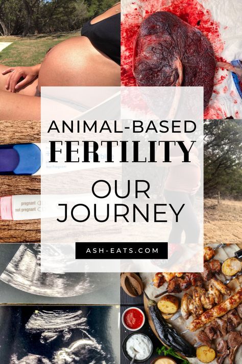 Looking for animal-based fertility resources? In this blog post, I share our journey conceiving on an animal-based diet. If you're looking for animal-based fertility resources, this blog post shares how we conceived on an animal-based diet, including how we prepared, supplements we took, how I tracked my fertility, and other things. I hope this blog post and the animal-based fertility resources help. #animalbased #fertility Carnivore Diet For Fertility, Implantation Cramps, Chemical Pregnancy, Animal Based Diet, Cervical Mucus, Animal Based, Carnivore Diet, Conceiving, Trying To Conceive