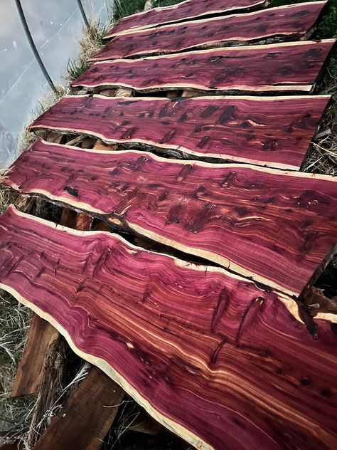 Kiln dried eastern red cedar slabs. Option for planed. Standard is rough cut. These slabs are 2" thick and are perfect for tables and countertops. Other thicknesses available in our shop. All wood turns grey as it dries. After planing or sanding dried cedar, the vibrant red/purple grain is fully restored. if you finish with oil, urethane or epoxy, the color will be locked in.  Don't see the size your looking for? We do custom cuts all the time! Message us what size you need, and we'll promptly p Cedar Wood Projects, Eastern Red Cedar, Cedar Lumber, Red Cedar Wood, Natural Air Freshener, Red Wood, Live Edge Wood, Burled Wood, Red Cedar