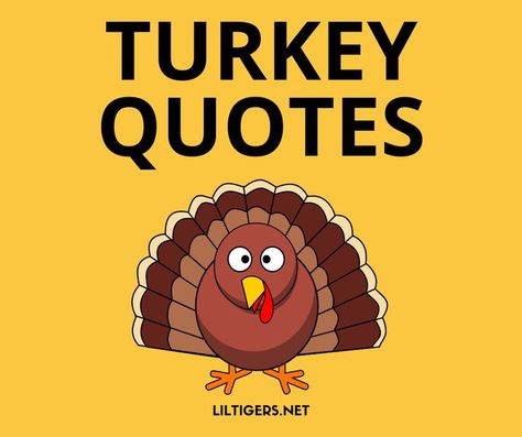 50 Best Turkey Quotes for Thanksgiving Thankgiving Quotes, Turkey Pun, Quotes For Thanksgiving, Thanksgiving Jokes For Kids, Turkey Jokes, Turkey Quotes, Thanksgiving Puns, Thanksgiving Quotes Funny, Thanksgiving Jokes