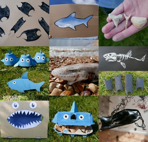 Lantern Shark, Shark Activities, Largest Whale, Mermaid Purse, Species Of Sharks, Fun Educational Activities, Marine Ecosystem, Forest School, Nature Play