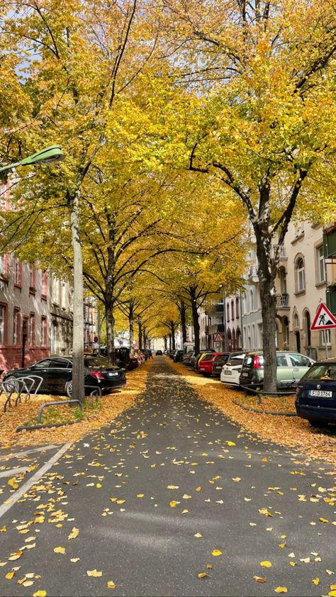 Madrid Autumn, Travel Autumn, Fall Foilage, Fall In Nyc, Spooky Halloween Pictures, Home Styles Exterior, Nature Gif, Autumn Scenery, New Town