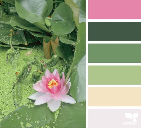 Water Lily Hues Water Lily Color Palette, Paint Combos, Pallet Color, Colours That Go Together, Seeds Color, Colour Themes, Color Schemes Colour Palettes, Sea Design, Paint Pouring