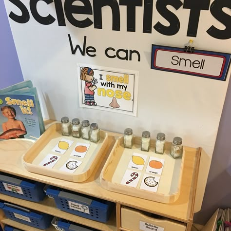 Science Center Preschool, Five Senses Preschool, Pre-k Science, Science Area, Senses Preschool, Science For Toddlers, Science Stations, Eyfs Classroom, Preschool Science Activities