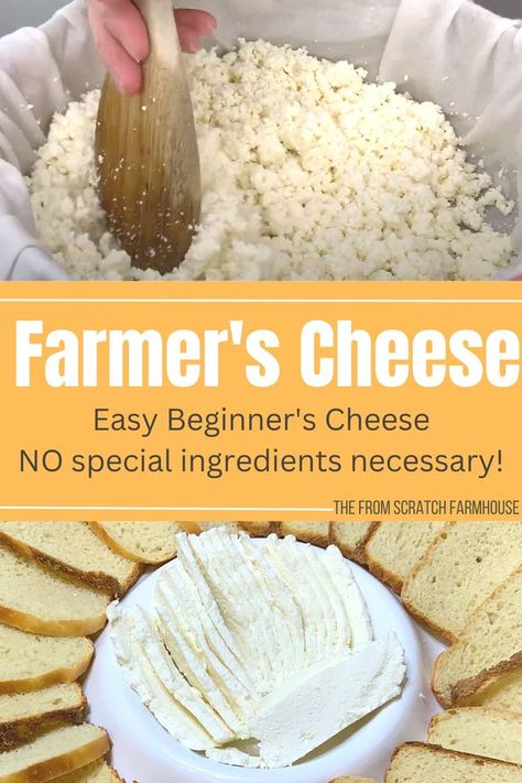 Quick and easy farmer's cheese in the cheese curd stage and then pressed into slices of cheese plated with some bread. Farmers Cheese Recipes, Farmer’s Cheese, Cheese Recipes Homemade, Raw Cheese, Cheese Making Recipes, Goat Milk Recipes, Diy Cheese, Easy Cheese Recipes, Farmers Cheese