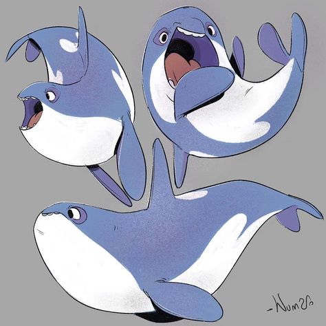 Nunzio Cafagna в Instagram: «- Killer Whale/Orca #artofnunziocafagna #drawing #characterdesign #characterdesigner #artistoninstagram #visualdevelopment #orca…» Whale Cute Drawing, Whale Character Design, Whale Costume, Shark Character, Astronaut Artwork, Whale Pictures, Sea Creatures Art, Graphic Shapes Design, Unicorn Girl