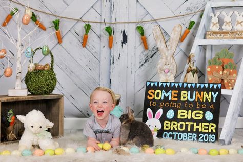 Easter Big Brother Announcement, Pregnancy Announcement Big Brother, Baby 2 Announcement, Easter Pregnancy Announcement, Pregnancy Announcement Sibling, Big Brother Announcement, Baby Announcements, 2nd Baby, Big Brother