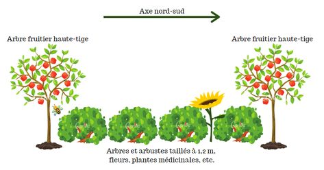 Créer son verger en permaculture. Garden Cover, Tree Farm, Tree Farms, Kitchen Garden, Permaculture, Herbs, Thing 1, Design