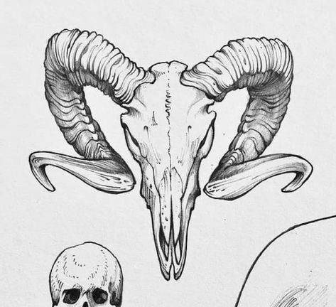 Ram Skull Sketch, Goat Horn Tattoo, Ram Skull Tattoo Feminine, Satanic Goat Skull Tattoo, Goat Skull Tattoo Design, Goat Skull Drawing, Ram Skull Drawing, Goat Skull Art, Goat Skull Tattoo