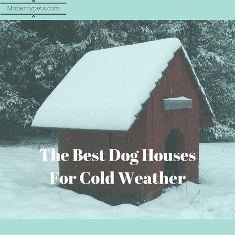 Cold Weather Dog House, Winter Dog House Cold Weather, Outdoor Dog Spaces, Heated Dog House, Winter Dog House, Large Dog House Outdoor, Warm Dog House, Cat House Outdoor, Outdoor Dog Area