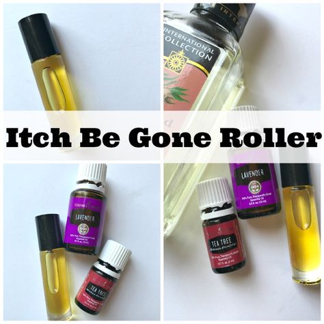 Those pesky mosquitos can sneak up on you this time of year so here it is great to have some essential oils for bug bites on hand. You’ll be glad to have this DIY Bug Bite Relief Essential Oil Recipe as a natural remedy to stop mosquito bites itching. #bugbites #essentialoilrecipes #DIYremedies #naturalremedies Anti Itch Essential Oil, Misquote Itch Relief Essential Oil, Bug Bite Essential Oil, Essential Oil Bug Bite Relief, Essential Oils For Bug Bites Itch, Essential Oils Bug Bites, Stop Mosquito Bite Itch, Essential Oils For Mosquitoes, Mosquito Bite Itch