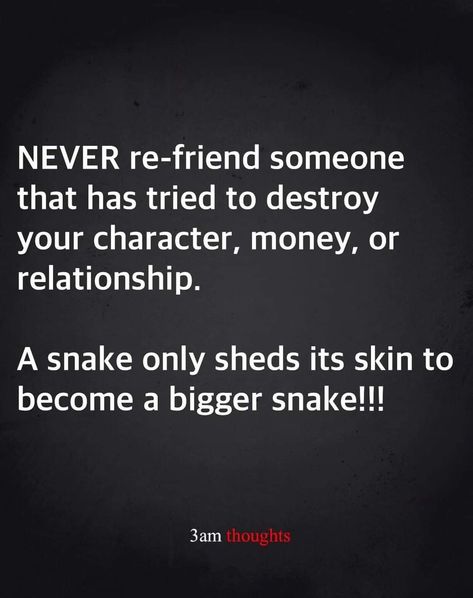 Home Wrecker Quotes, Snakes Quotes, 3am Quotes, Snake Quotes, 3am Thoughts, Quotes And Notes, Snap Quotes, A Snake, Mental And Emotional Health