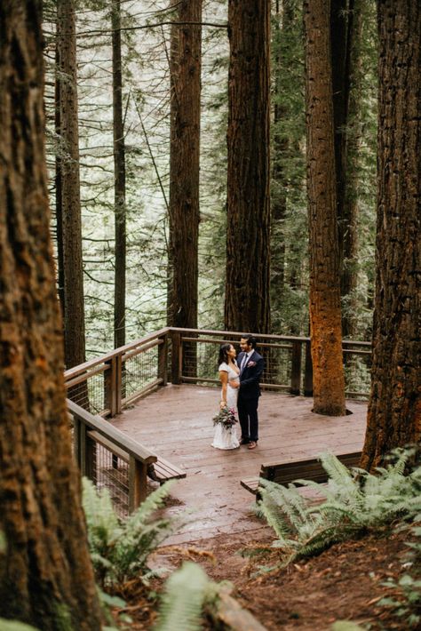 Hoyt Arboretum Redwood Deck Elopement | Jess Woodhouse Photography Campsite Wedding, Redwood Deck, Hoyt Arboretum, Elopement Oregon, Redwood Decking, Forest Wedding Venue, Redwood Wedding, Wedding Venues Oregon, Places To Elope