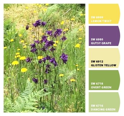 Purple Yellow Color Scheme, Yellow Purple Color Palette, Yellow Purple Green Color Scheme, Light Green And Purple Color Palette, Purple Green And Yellow Color Palette, Green Colour Palettes, Purple Yellow White Color Palette, Purple And Yellow Color Palette, Purple Yellow Brown Color Palette