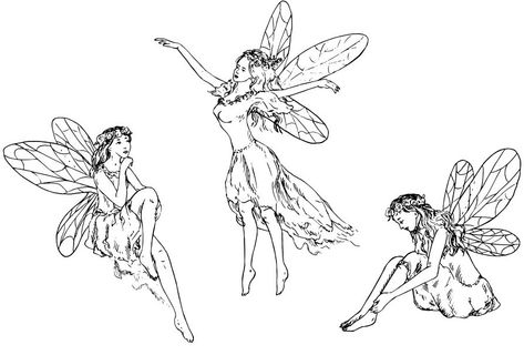 Sketch Black And White, Fairy Drawing, Fairies Flying, Rose Drawing Tattoo, Fairies Photos, Fairy Paintings, Fairy Tattoo Designs, Fairy Drawings, Black And White Vector