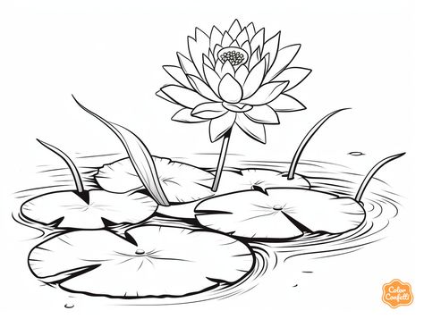 illustration of Lily-pad wonderland to color Frogs On Lily Pads, Mandala Turtle, Coloring Page For Adults, Fantasy Fairy, Coloring Book Pages, Lily Pads, Nature Lovers, Frogs, Adult Coloring Pages