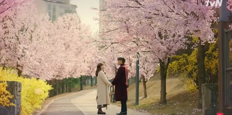 #doomatyourservice #seoinguk#parkboyoung #kdrama Kdrama Cover Photo, Kdrama Cover, Korean Drama Aesthetic, Drama Aesthetic, Doom At Your Service, Aesthetic Header, Seo In Guk, Slice Of Life, Cover Photo