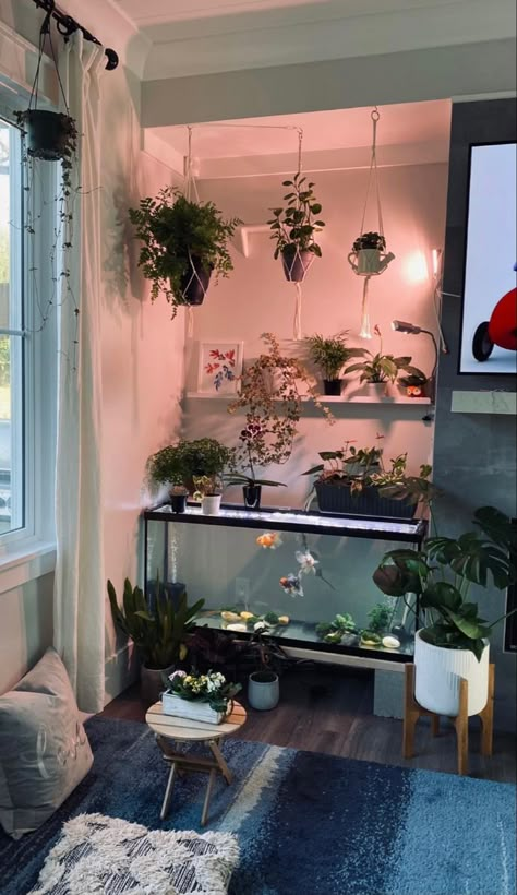 Terrarium In Bedroom, Aquarium Apartment, Apartment Fish Tank, Dream Fish Tank, Fishtank Room Ideas, Fish Tank Entryway, Fish Tank Display Ideas, Fish Tank Apartment, Fish Tank Ideas Aesthetic