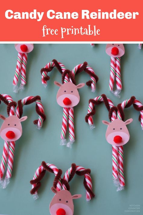 How cute are these candy cane reindeer? A super simple reindeer craft to A super cute and easy to make candy cane reindeer craft. Complete with the free printable reindeer faces. Make a candy cane Rudolph and the whole reindeer team #candycanereindeer #reindeercraft #rudolphcraft #christmascraft #ediblegift #christmasgift #homemadegift #kitchencounterchronicles Candy Cane Rudolph Reindeer, Winter Candy Grams, Candy Cane Ideas Christmas, Candy Cane Reindeer Craft For Kids, Christmas Grams Fundraiser, Candy Cane Gifts For Kids, Christmas Grams For School, Candy Grams Christmas, Crafts With Candy Canes