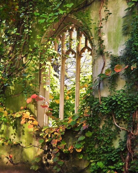 심플한 그림, Nature Aesthetic, Magical Places, Pretty Places, Shade Garden, Green Aesthetic, Dream Garden, Abandoned Places, Fantasy World