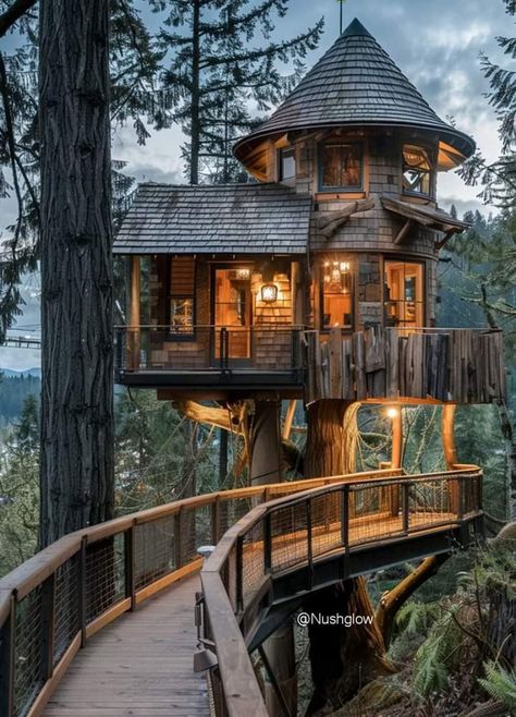 Tree House Ideas, Treehouse In The Woods, Adult Tree House, Modern Treehouse, Treehouse Rentals, Treehouse Living, Luxury Tree Houses, Beautiful Tree Houses, House Club