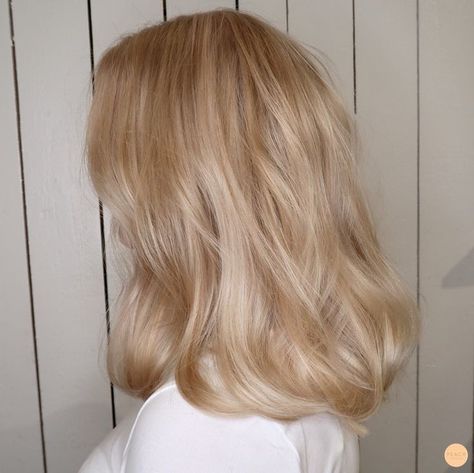 Colorful Hair Ideas, Romeo I Julia, Soft Blonde Hair, Champagne Blonde Hair, Beige Blonde Hair, Wedding Hair Colors, Beige Hair, Neutral Blonde, Golden Blonde Hair