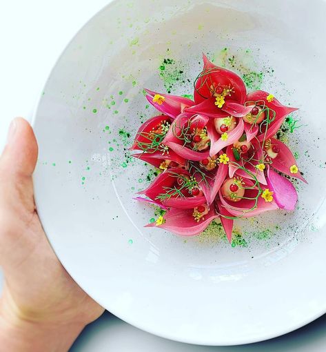 Giulio Bettini’s Instagram photo: “Carpaccio of salmon and peasant onions. . .…” Carpaccio Plating, Fine Dining Plating, Beef Carpaccio, Food Presentation, Food Plating, Fine Dining, Onions, Food Inspiration, Plant Based