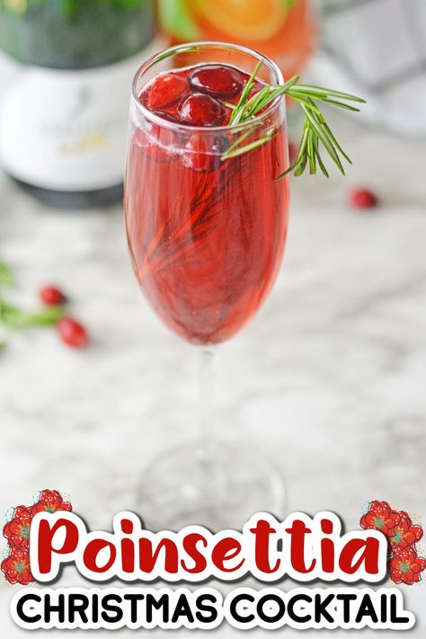 Poinsettia Drink, Poinsettia Cocktail, Cranberry Champagne Cocktail, Christmas Brunch Menu, Ginger Beer Cocktail, Sparkling Grape Juice, Sweet Champagne, Cranberry Cocktail, Holiday Brunch