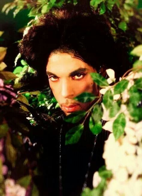 Yep Prince Photos, Prince Musician, Prince Images, Prince Tribute, The Artist Prince, Pictures Of Prince, Rip Prince, Baby Prince, Paisley Park