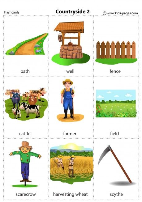 Countryside 2 flashcard Farm Worksheet, At The Farm Worksheet, Vehicle Flashcards, Farm Animal Flashcards, Farm Vocabulary, English Conversation For Kids, Life Skills Kids, English Grammar For Kids, English Stories For Kids