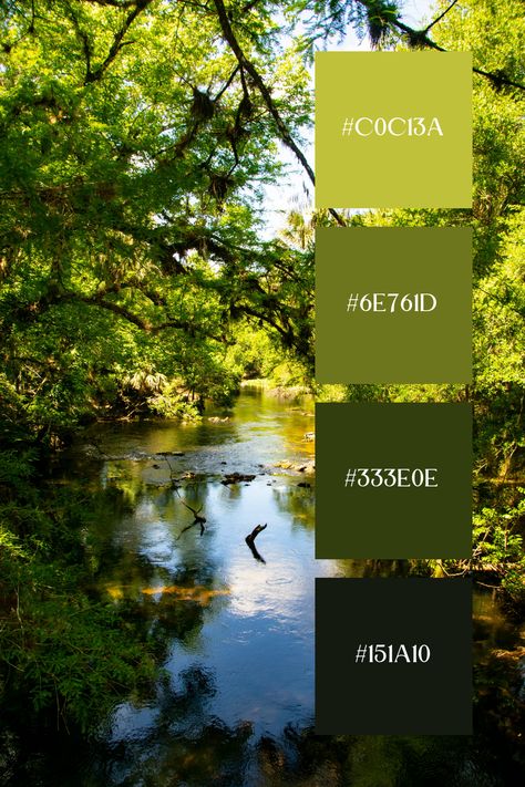 Forest Green Color Palette showcases a tranquil river winding through a dense, forest green woodland. The vivid greens of the trees and foliage reflect beautifully on the water's surface. This serene setting is perfect for capturing the essence of a forest green color palette. Fantasy Forest Color Palette, Garden Colour Palette, Jungle Color Palette, Landscape Color Palette, Forest Green Color Palette, Forest Color Palette, Pallet Inspiration, Color Scheme Generator, Color Generator