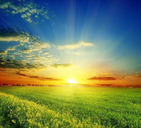 Rising Sun Pictures, Spring Landscape Photography, Nature Hd, Music Illustration, Sunset Background, Spring Landscape, New Backgrounds, Wallpaper Pictures, Wallpaper Downloads