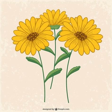 Flores amarillas | Premium Vector #Freepik #vector #girasol #flores-girasoles #flores-amarillas #flores Planting Sunflowers, Sunflowers Background, Beach Icon, Butterflies Flying, Summer Cards, Yellow Daisies, Fall Watercolor, Inspirational Wallpapers, Unique Wedding Invitations