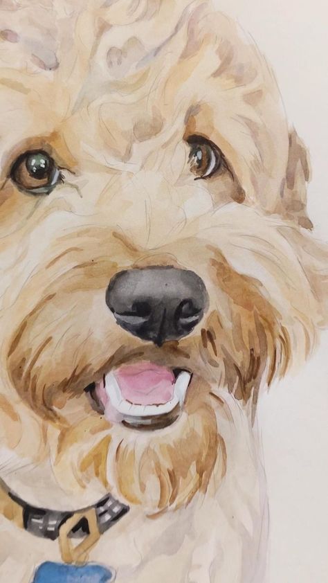 Labradoodle Watercolor, Labradoodle Painting, Labradoodle Drawing, Labradoodle Art, Goldendoodle Art, Dogs Watercolor, Dog Portrait Drawing, Dog Watercolor Painting, Petit Basset Griffon Vendeen