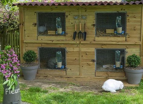 Les critères pour bien choisir un clapier et l'aménager. Paddock Paradise, Acre Homestead, Rabbit Hutches, Rabbits, Shed, Outdoor Structures, Animals