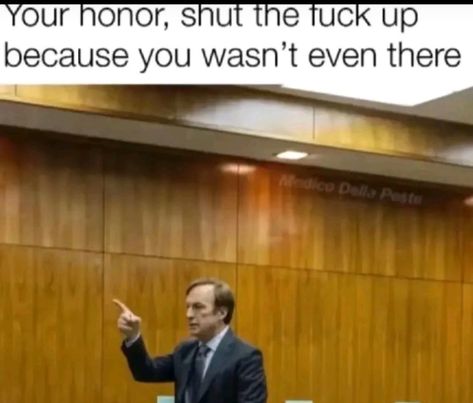 Your Honor, Bad Memes, Better Call Saul, Silly Images, Silly Me, Really Funny Pictures, Breaking Bad, What’s Going On, Funny Me