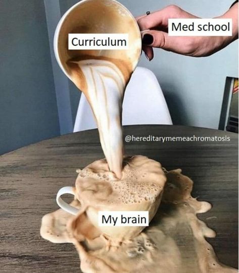 Ten Funny Medical School Jokes - The Medic Portal Meme Med School, Med School Jokes, Med School Memes Humor, Med School Application, Funny Medical Humor, Med School Memes, Med Student Humor, Medic Aesthetic, Funny Medical Quotes